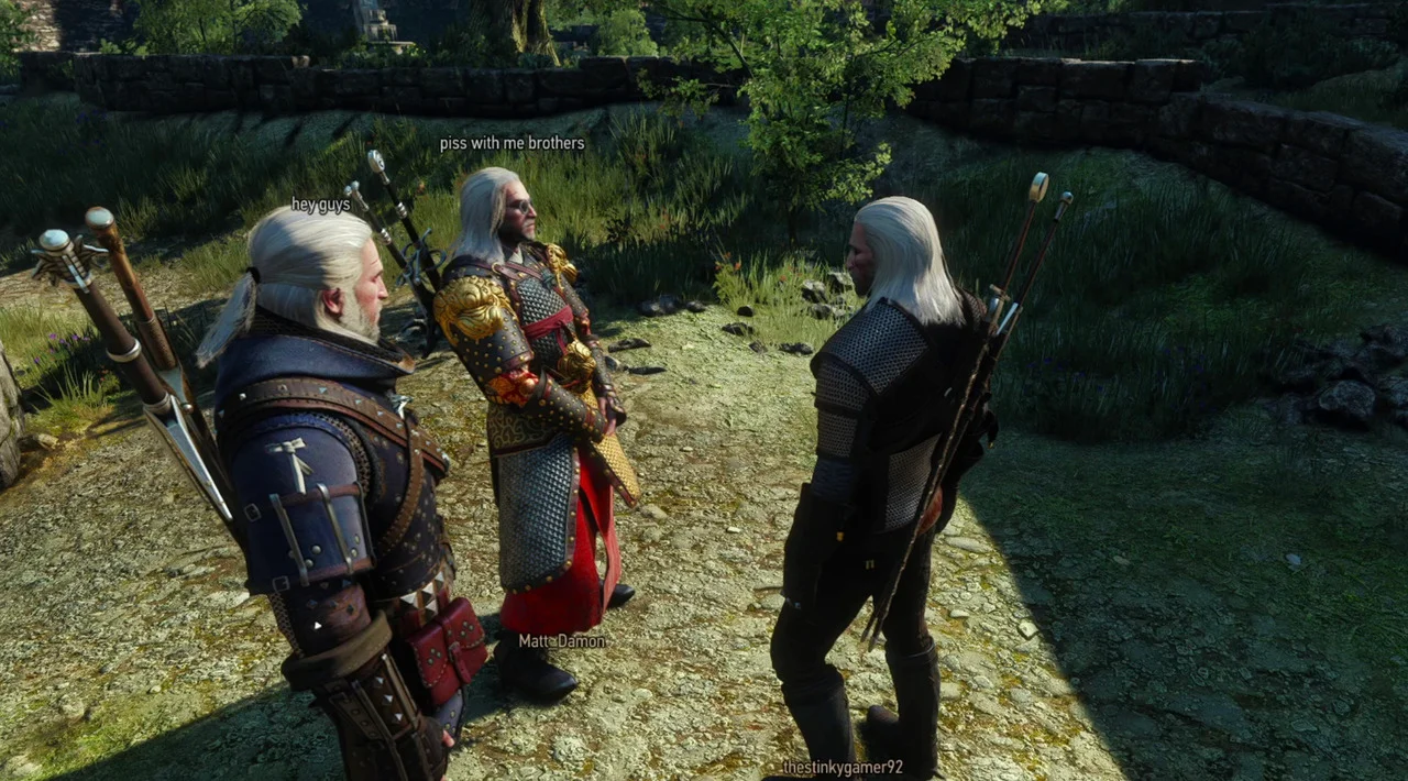 Больше Геральтов во вселенной Геральта из Ривии.